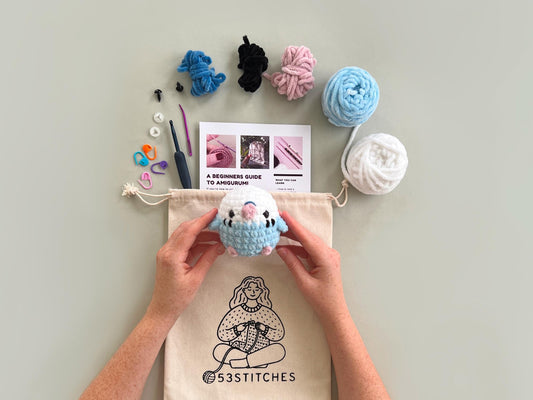 Blue Budgie Learn to Crochet Kit