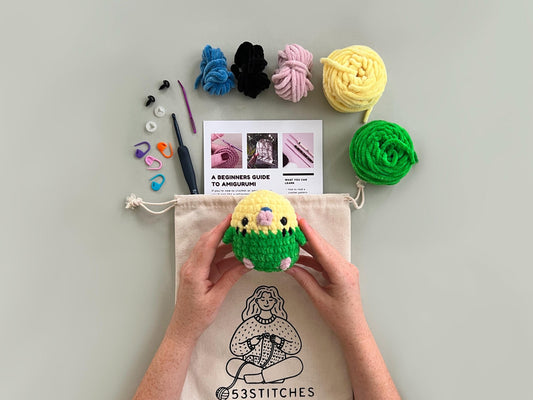 Green Budgie Learn to Crochet Kit