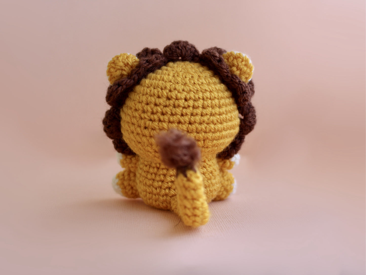 Lion Learn to Crochet Kit