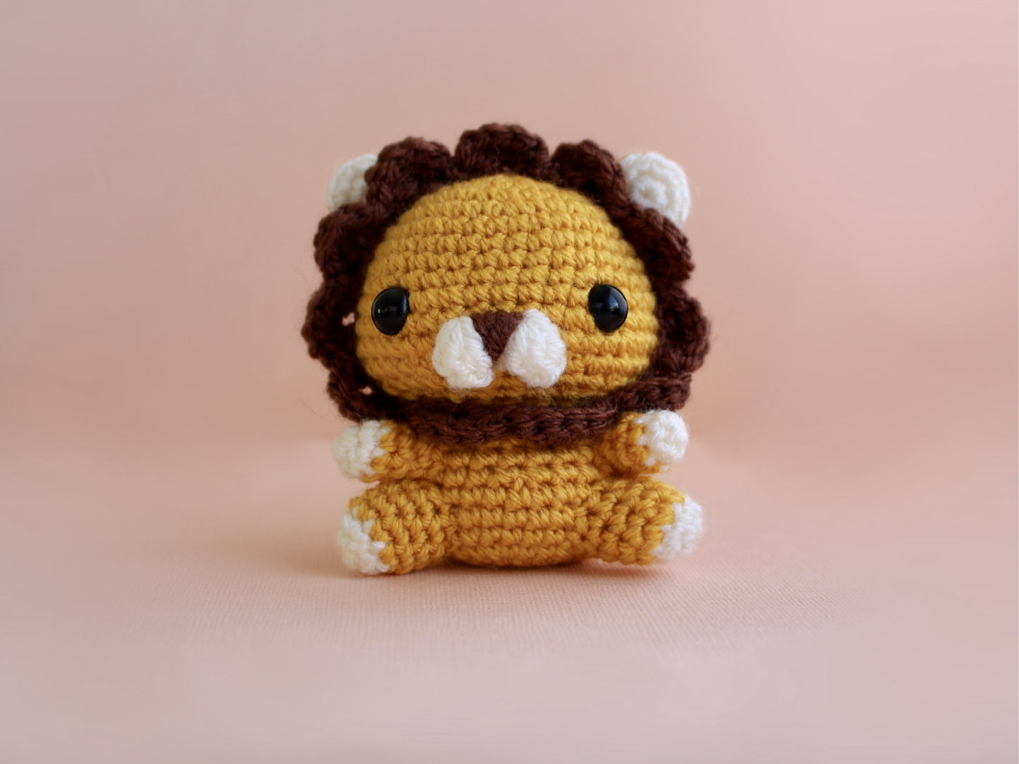 Lion Learn to Crochet Kit