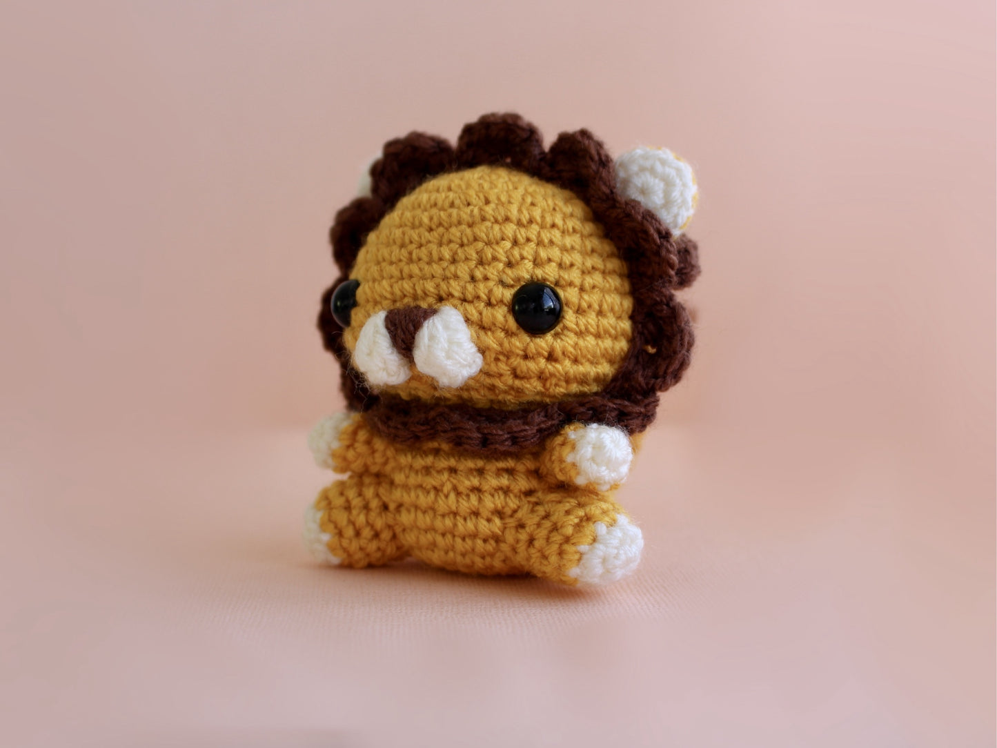 Lion Learn to Crochet Kit