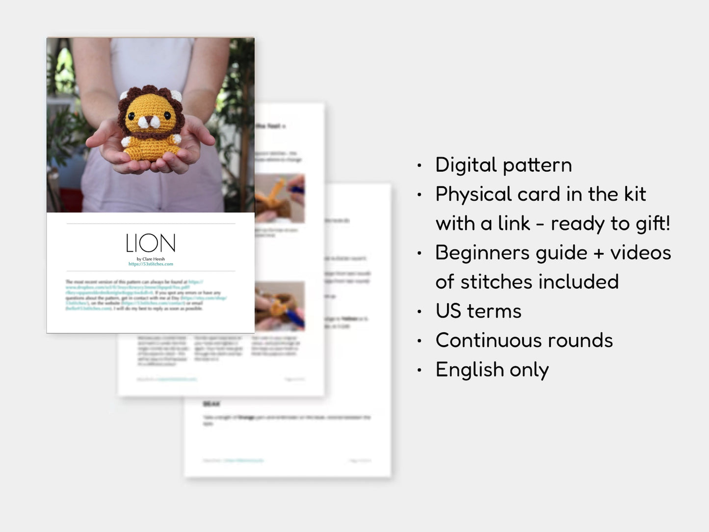 Lion Learn to Crochet Kit