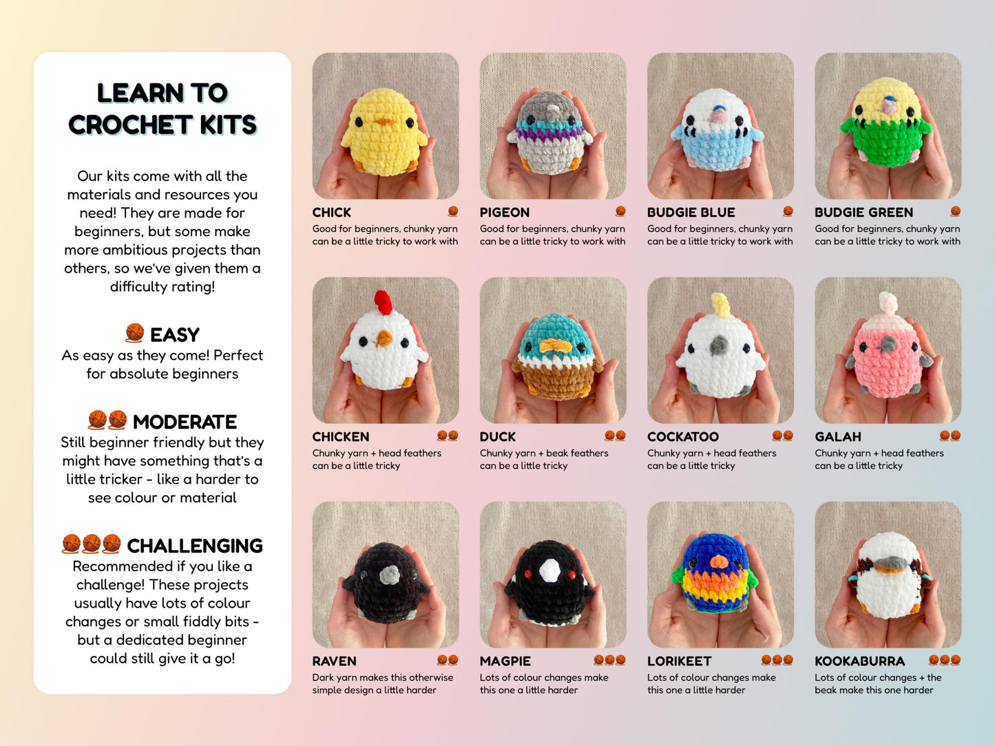 Chicken Learn to Crochet Kit