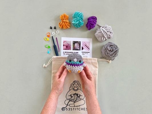 Pigeon Learn to Crochet Kit