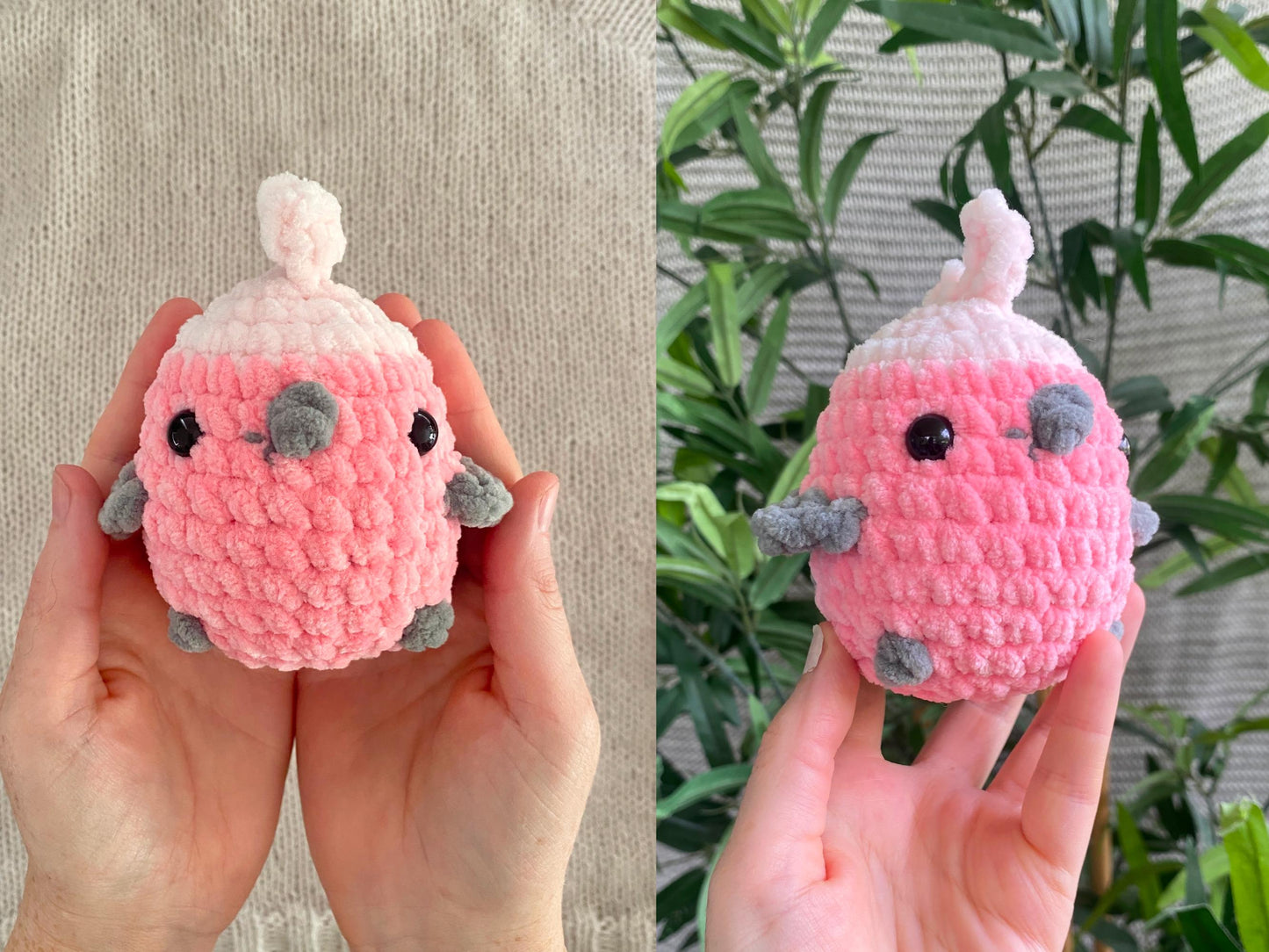 Galah Learn to Crochet Kit