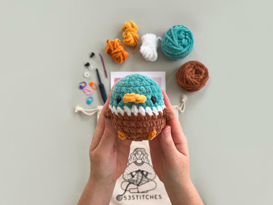 Duck Learn to Crochet Kit