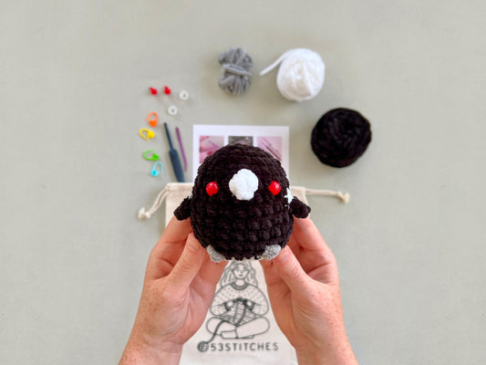 Magpie Learn to Crochet Kit