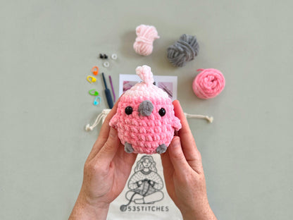 Galah Learn to Crochet Kit