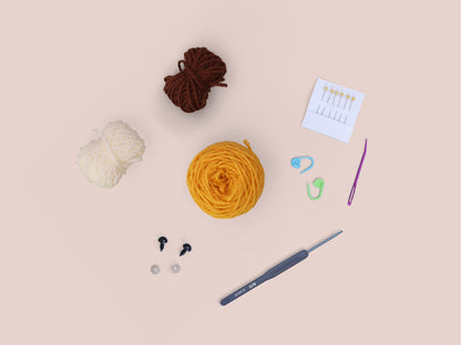 Lion Learn to Crochet Kit