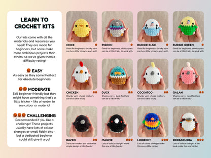 Chicken Learn to Crochet Kit