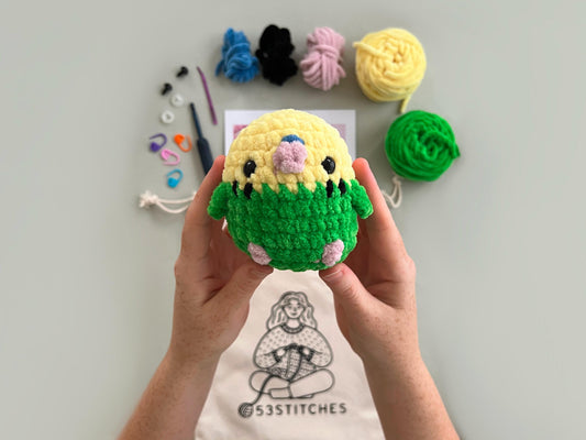 Green Budgie Learn to Crochet Kit