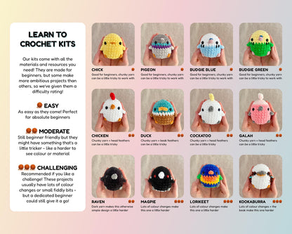 Magpie Learn to Crochet Kit