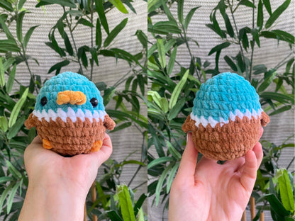 Duck Learn to Crochet Kit