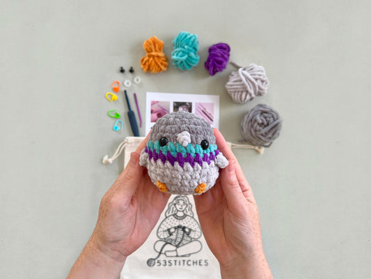 Pigeon Learn to Crochet Kit