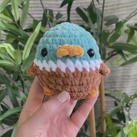 Handmade crochet bird - Finished adorable crochet plushie - Soft and squishy - Made to order